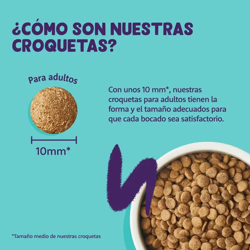 Edgar & Cooper Pienso Para Gatos 2kg Adult  Salmón Fresco Del Atlántico, Arándanos, Albahaca Y Eneldo