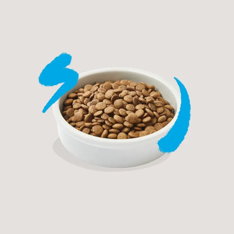 Edgard & Cooper Adult Cat Food 325g Fresh Atlantic Salmon (saumon atlantique frais)