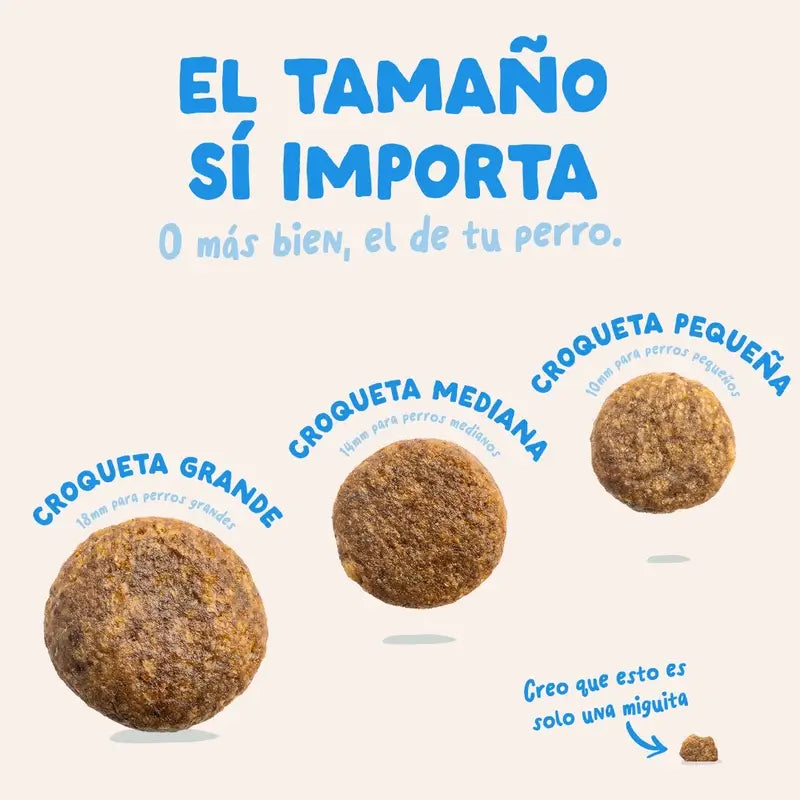 Croquettes pour chien Edgard & Cooper 2.5kg Saumon Norvégien