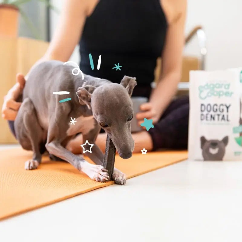 Edgar & Cooper Snack Dental Para Perros 8x120g Adult  Fresa y Menta Pequeño