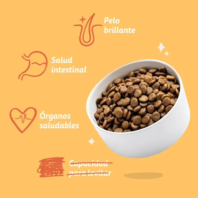 Edgard & Cooper Mini Croquettes pour chien adulte avec poulet frais , 0.7 kg