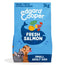 Edgard & Cooper Mini Croquettes pour chien adulte avec saumon frais , 3 kg