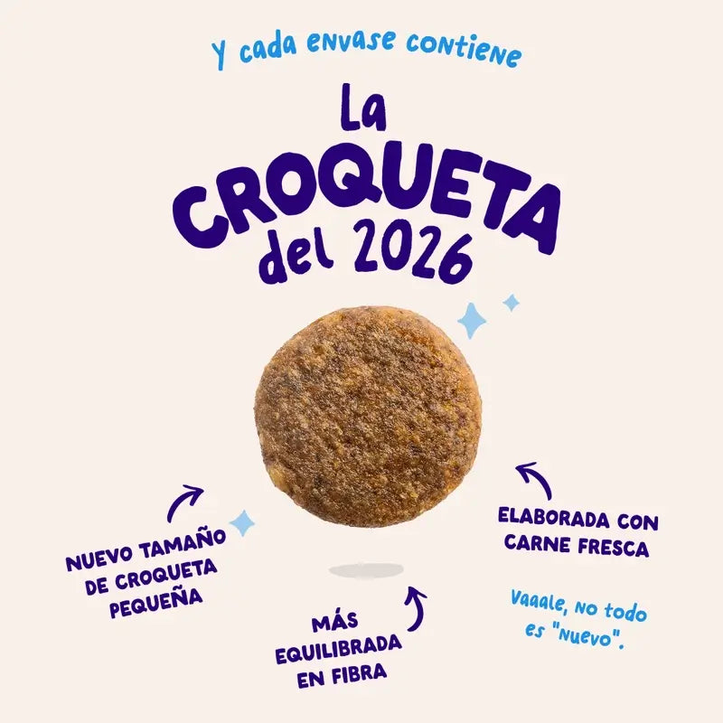 Edgard & Cooper Mini Croquettes pour chien adulte avec saumon frais , 3 kg