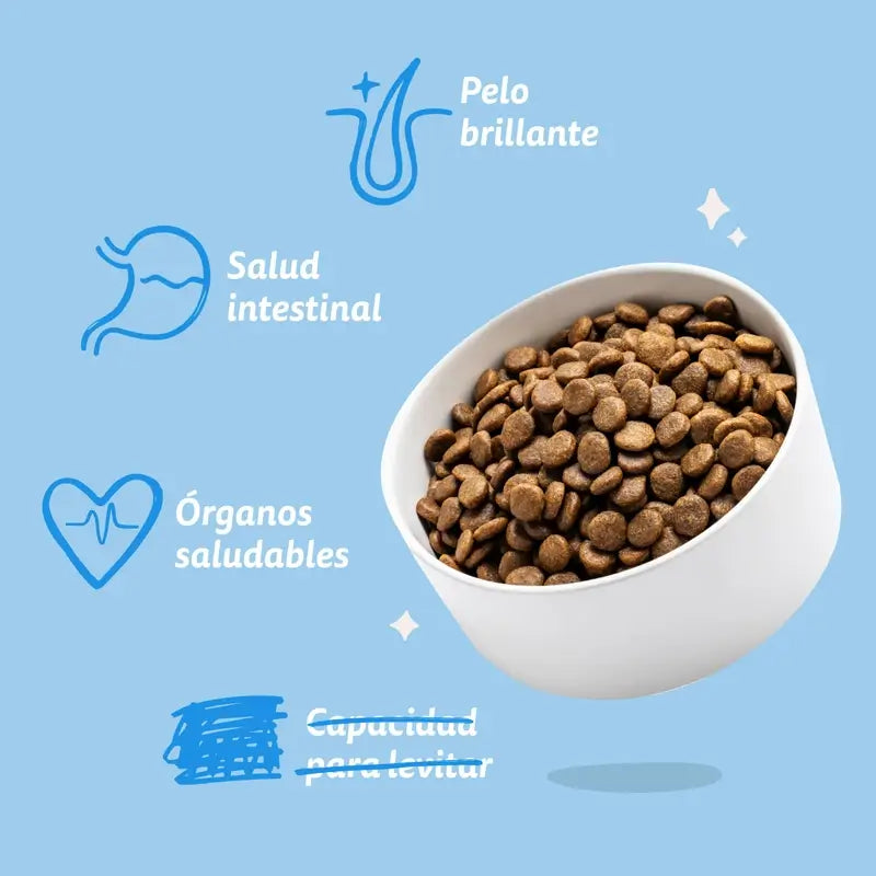 Edgard & Cooper Croquettes pour chiens miniatures adultes avec saumon frais, 0,7 kg