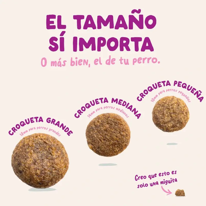 Edgard & Cooper Croquettes pour chiots miniatures avec canard et poulet frais, 3 kg
