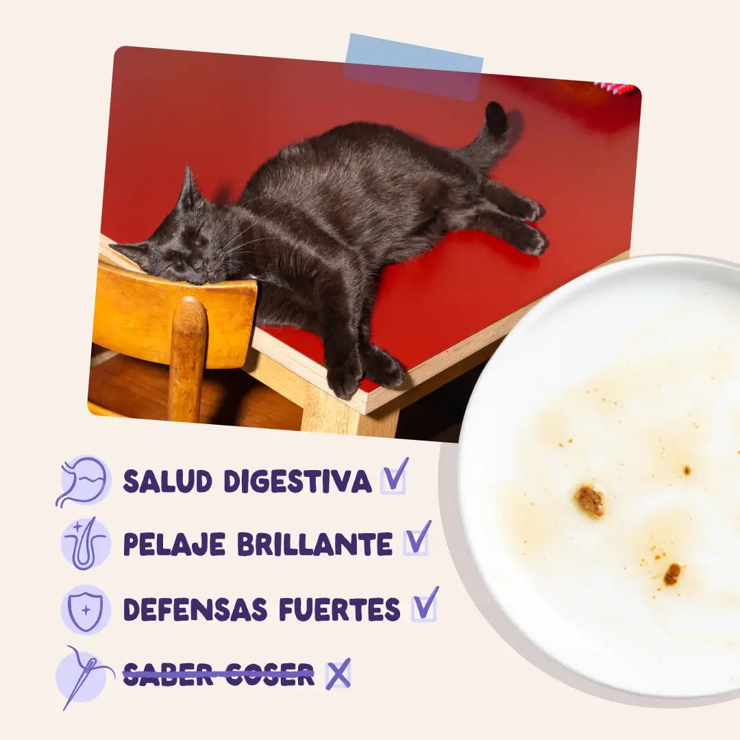 Edgard & Cooper Canard & Dinde en sauce pour chiens adultes, 12 x 85 g