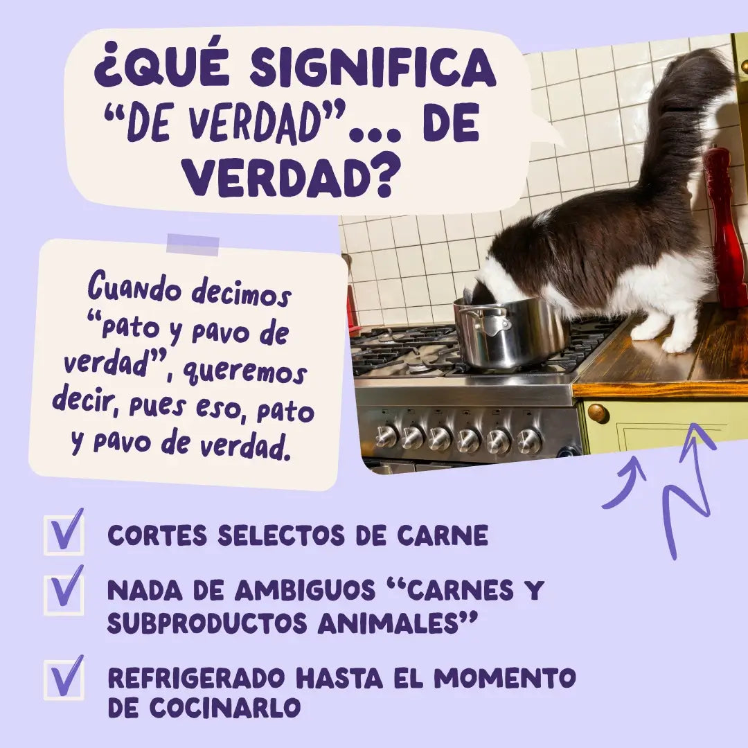 Edgard & Cooper Canard & Dinde en sauce pour chiens adultes, 12 x 85 g
