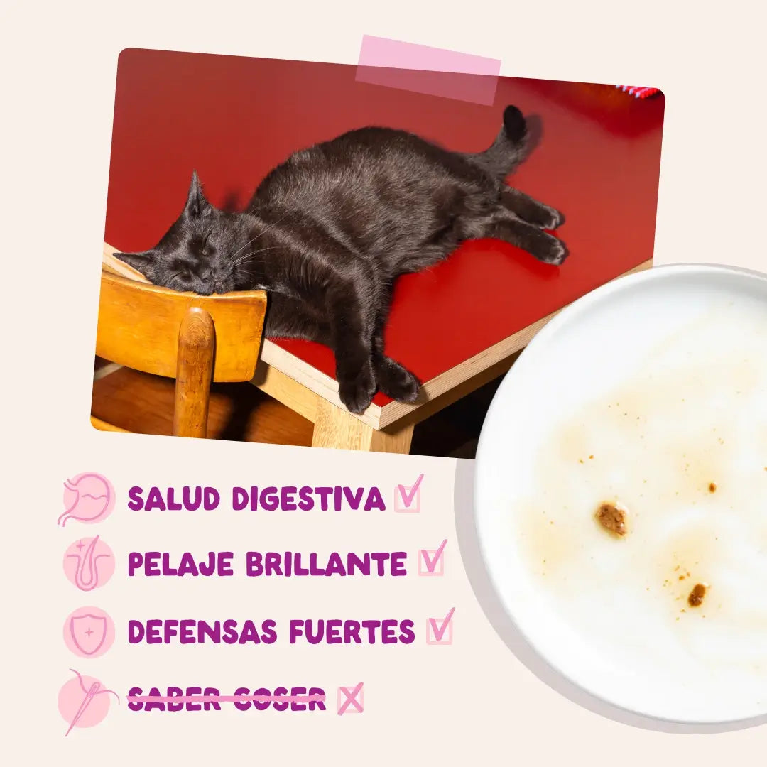 Edgard & Cooper Canard & Poulet en sauce pour chatons, 12 x 85 g