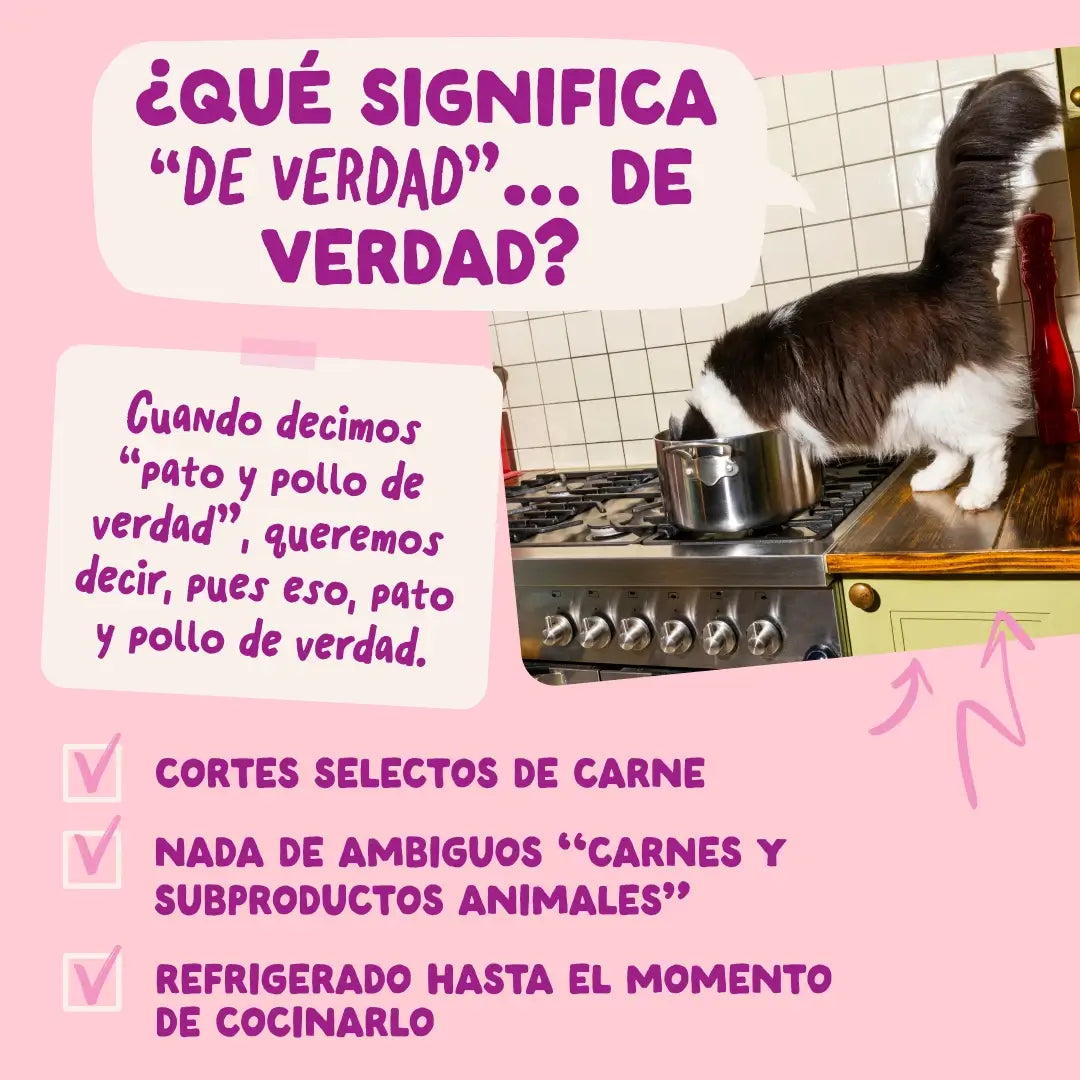 Edgard & Cooper Canard & Poulet en sauce pour chatons, 12 x 85 g