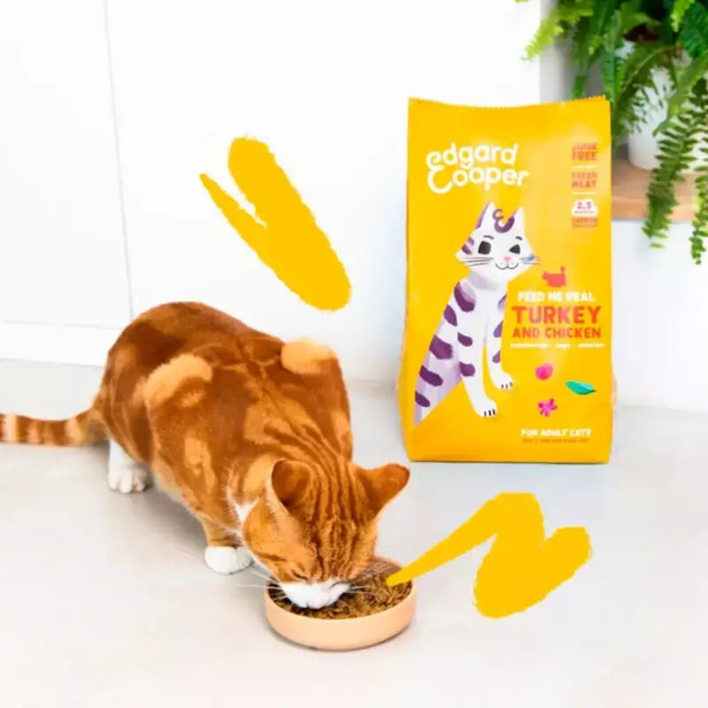 Edgard & Cooper : Croquettes pour chats adultes à la dinde et au poulet frais, 2 kg