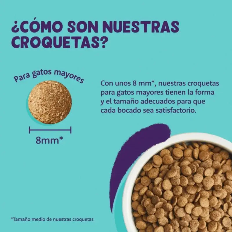Edgard & Cooper : Croquettes pour chats adultes à la dinde et au poulet frais, 2 kg