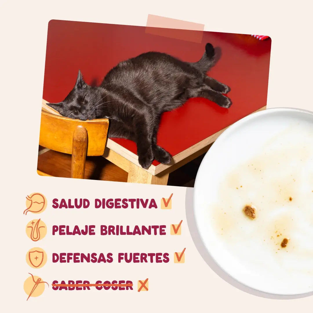 Edgard & Cooper Poulet en sauce pour chiens adultes, 12 x 85 g