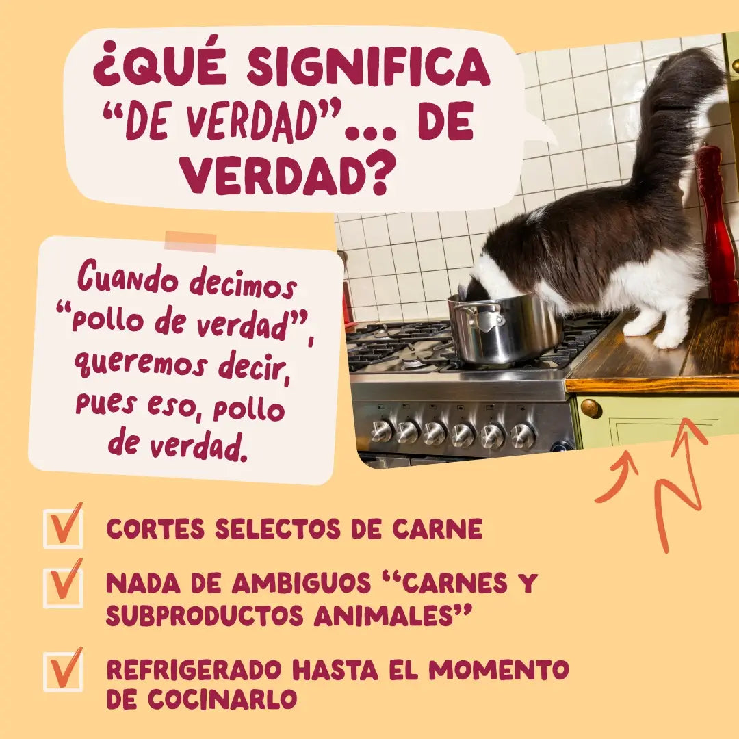 Edgard & Cooper Poulet en sauce pour chiens adultes, 12 x 85 g