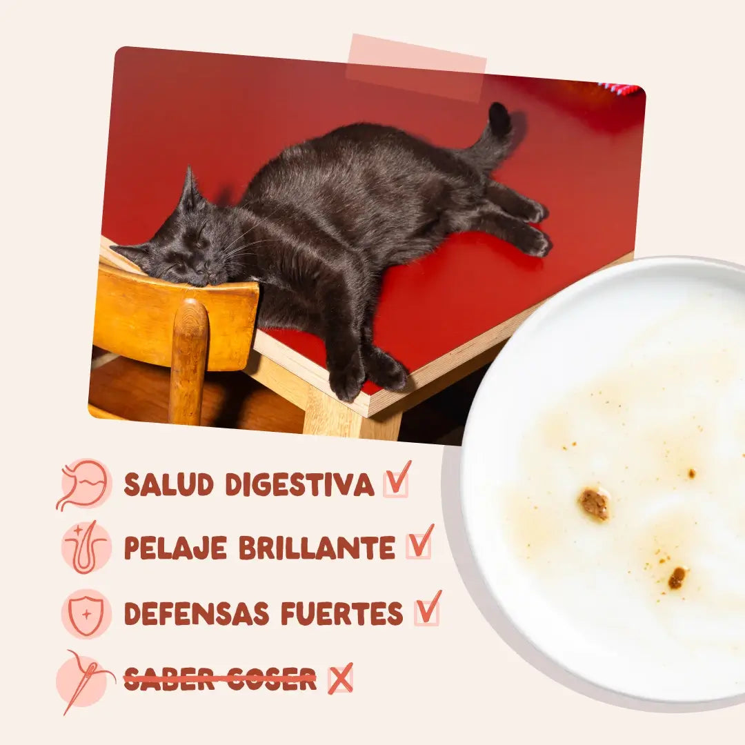 Edgard & Cooper Truite & Poulet en sauce pour chiens adultes, 12 x 85 g