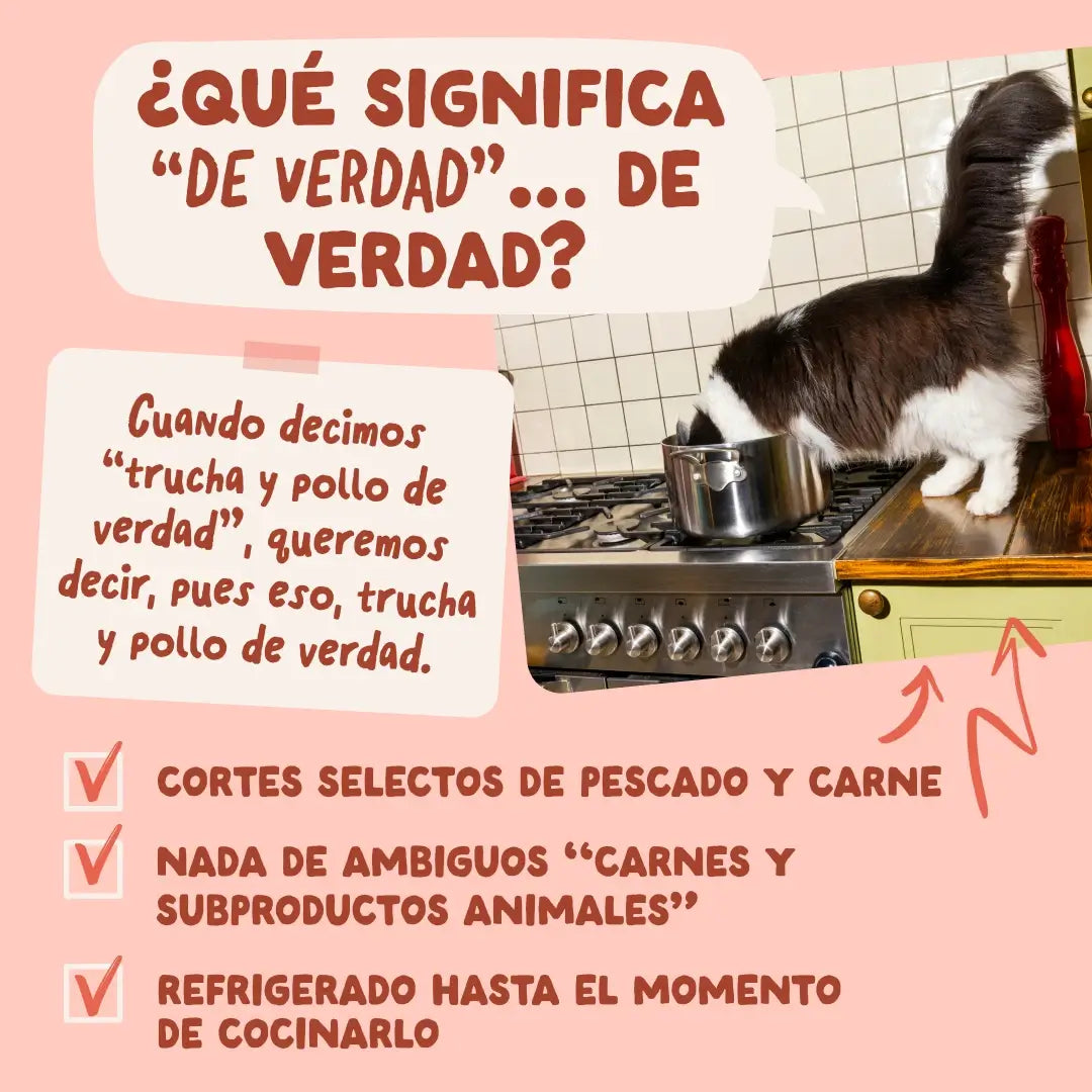 Edgard & Cooper Truite & Poulet en sauce pour chiens adultes, 12 x 85 g