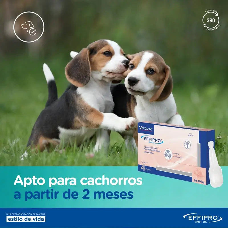 Effipro 402 Mg Spot-On Grands Chiens +40Kg, 4 Pipettes
