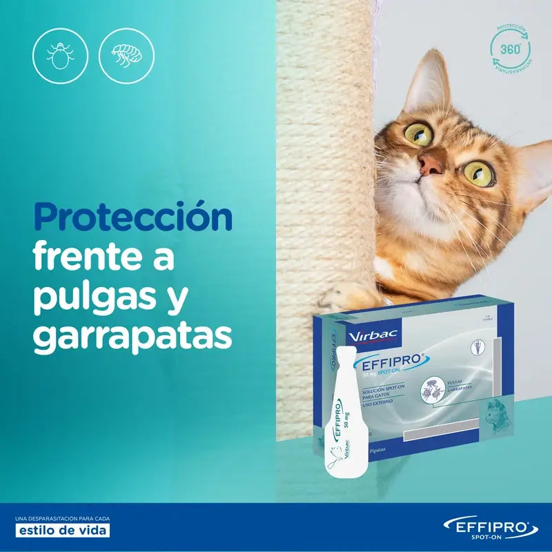 Effipro 50 Mg Spot-On Chats, 4 Pipettes