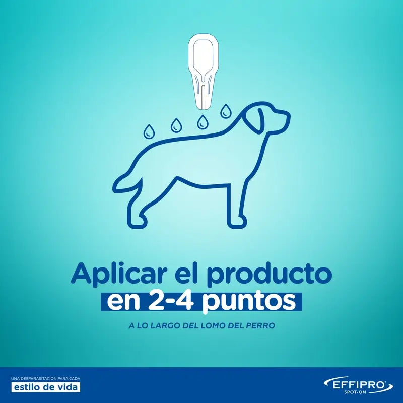 Effipro 67 Mg Spot-On Petits Chiens 2-10Kg, 4 Pipettes