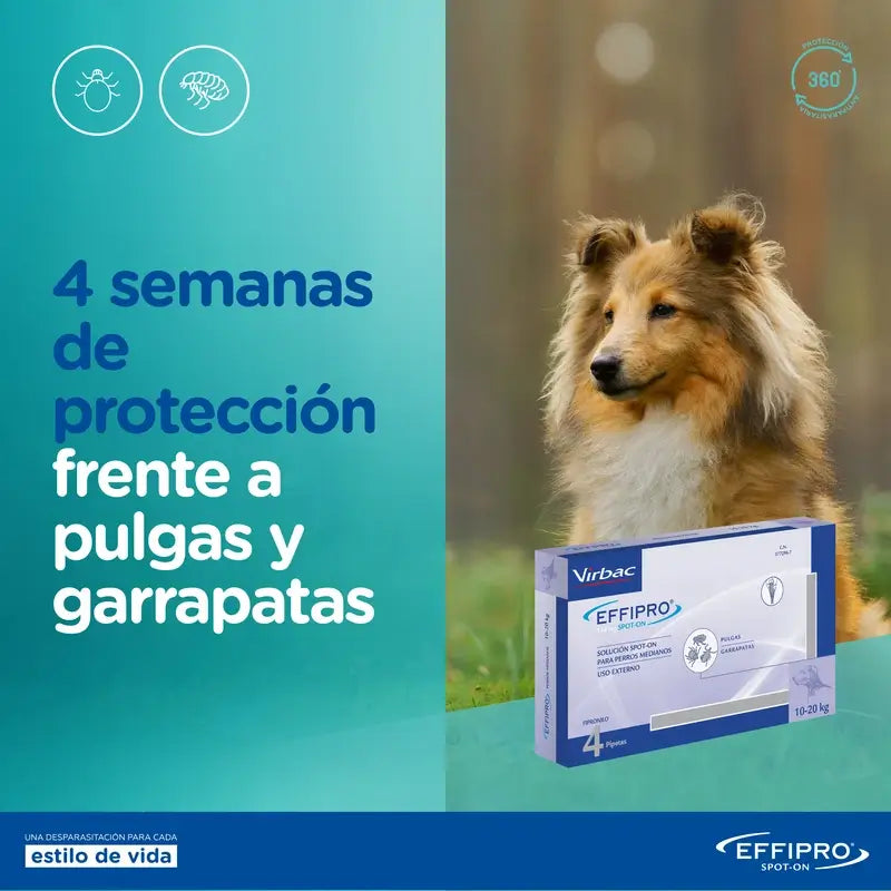 Effipro Spot-On Chien 402 Mg +40Kg, 24Pellets
