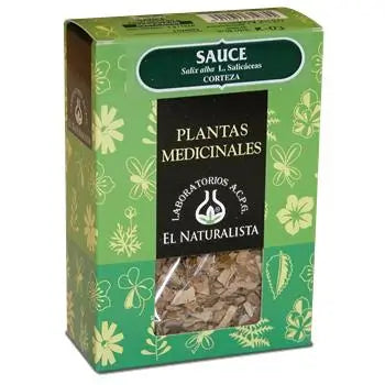 El Naturalista Willow, Single Plant, 80 G