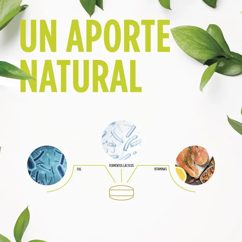 Eladiet Digest UltraBiotics, 30 comprimés