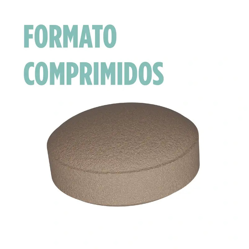 Eladiet Ginkoro, 90 comprimés