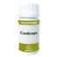 Equisalud Holofungi Cordiceps 50 Capsules