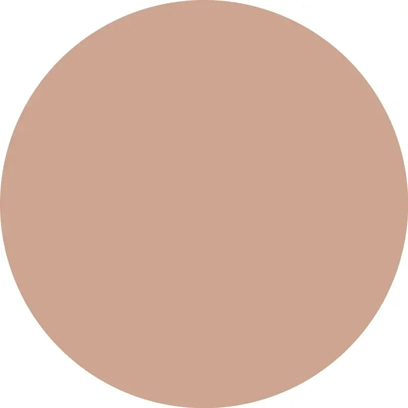 Essence Correcteur Camouflage+ Mat 160 , 8 ml