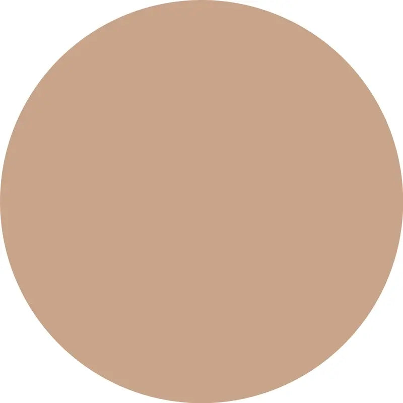 Essence Concealer Camouflage+ Matte 120, 8 ml