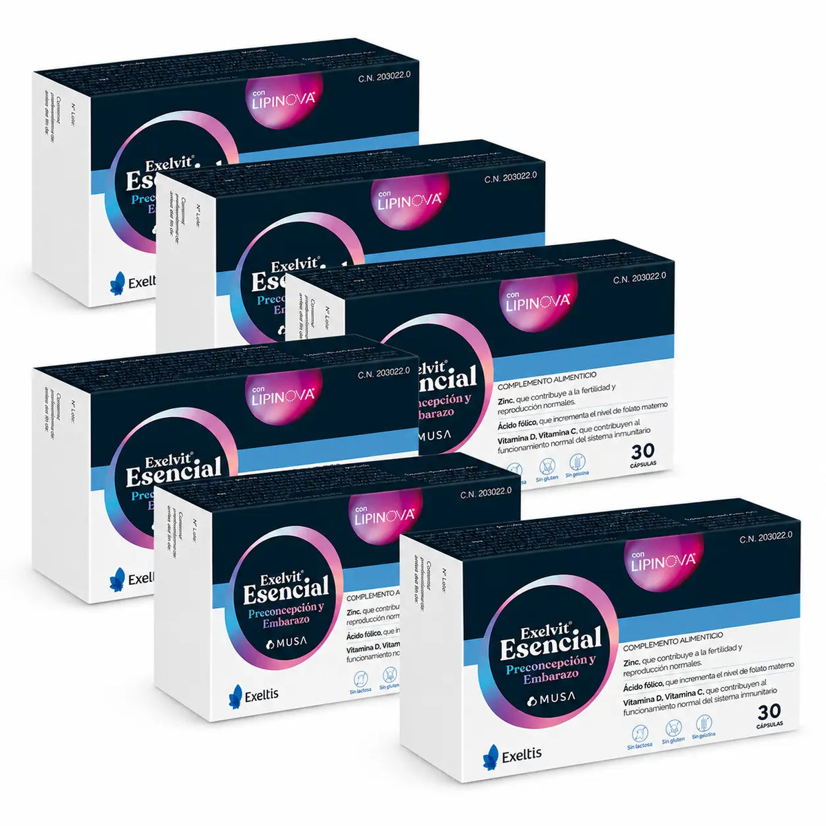 Exelvit Essentiel Préconception et Grossesse, 6x30 Capsules