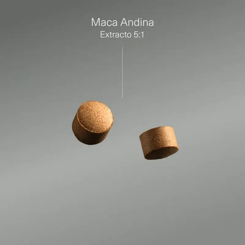Aldous Maca Extract, 400 comprimés