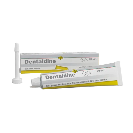 Gel oral Fatro Dentaldine, 30 ml