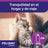 Ceva Feliway Spray Anti-Stress 60 ml
