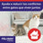 Ceva Feliway Friends Diffuseur + Recharge 48 ml