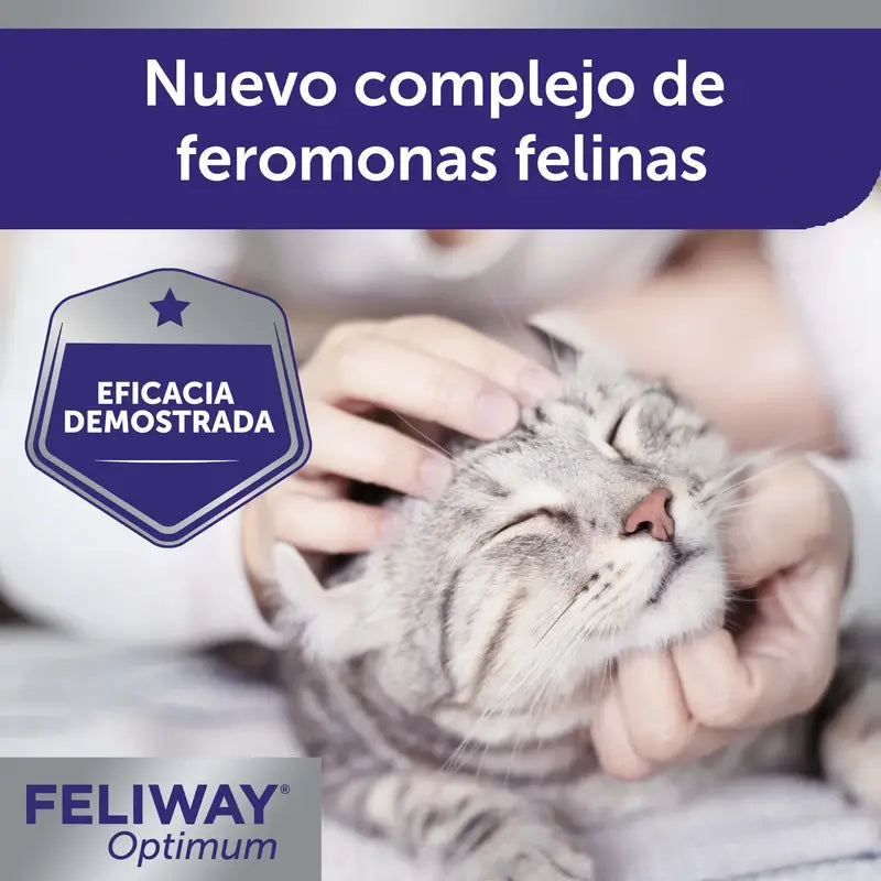 Feliway Optimum Recharge 48 ml