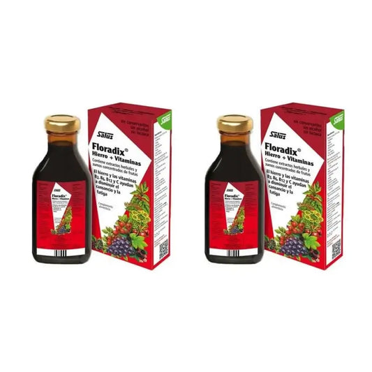 Floradix Floradix Fer + Vitamines, Pack de 2X500 Ml