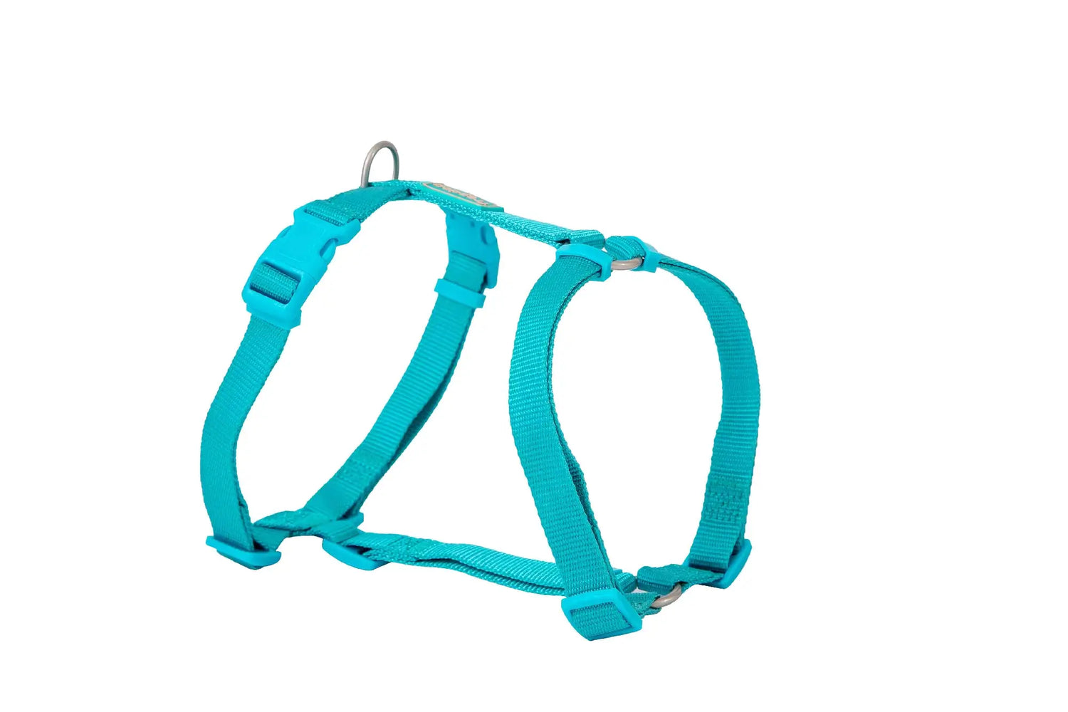 Harnais Freedog en nylon Basic turquoise, 20 mm, 51/70 cm