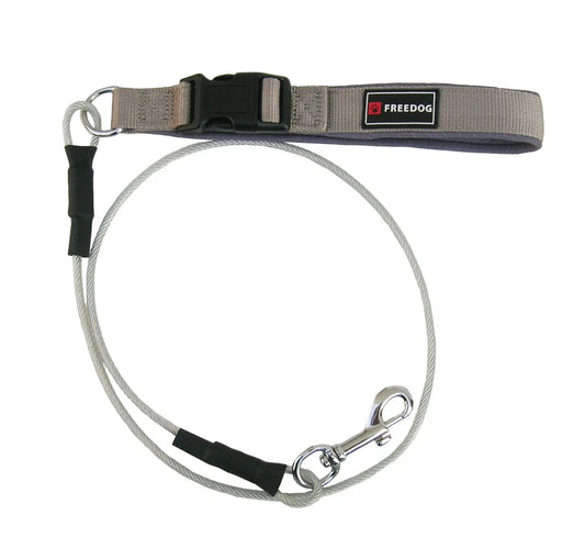 Freedog : laisse métallique anti-morsure, 6 mm, 120 cm