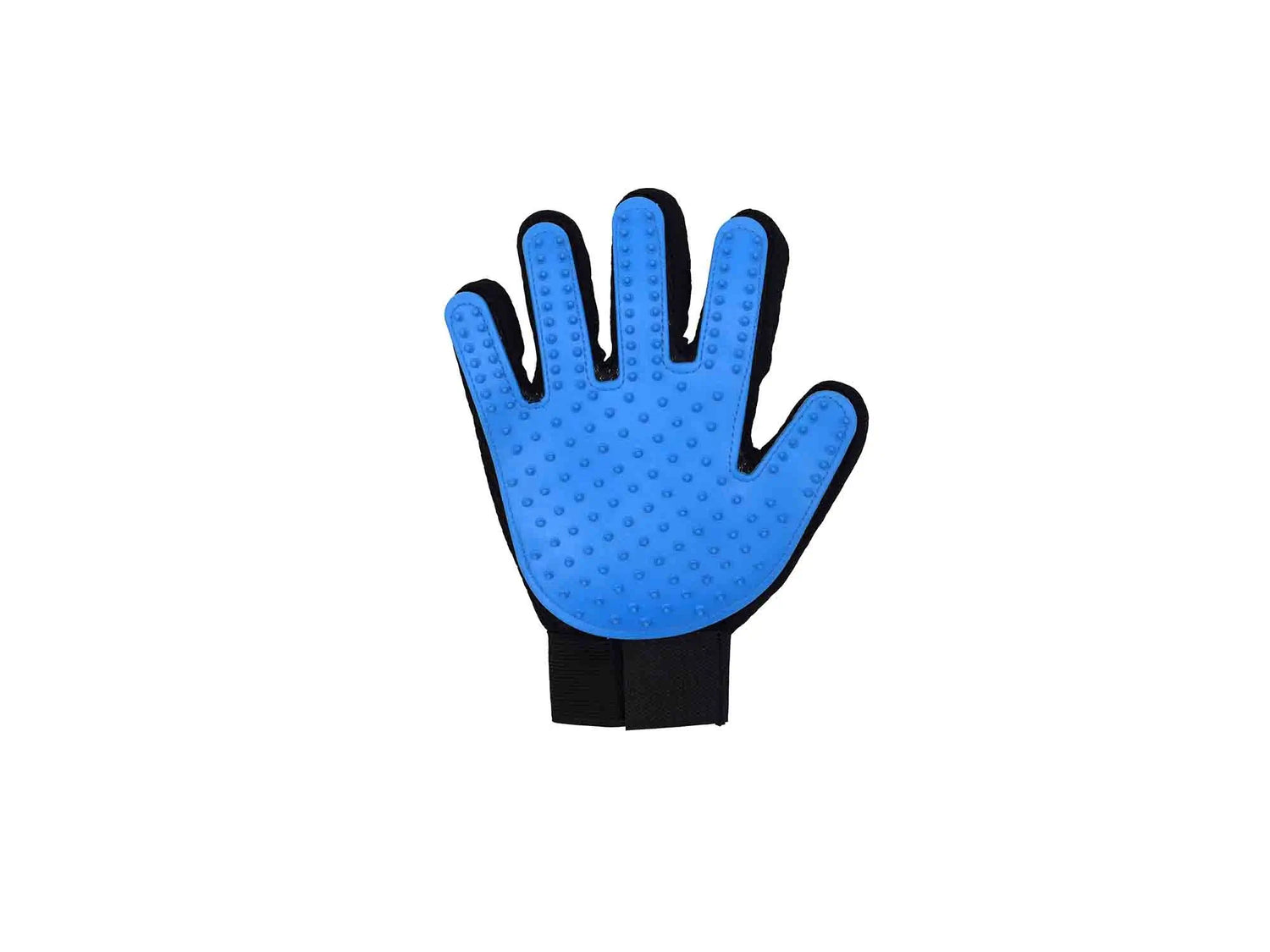 Freedog Gant Pro Bleu, 23 x 17 cm