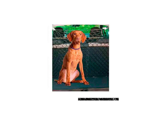 Freedog Filet de séparation 140 X 120Cm