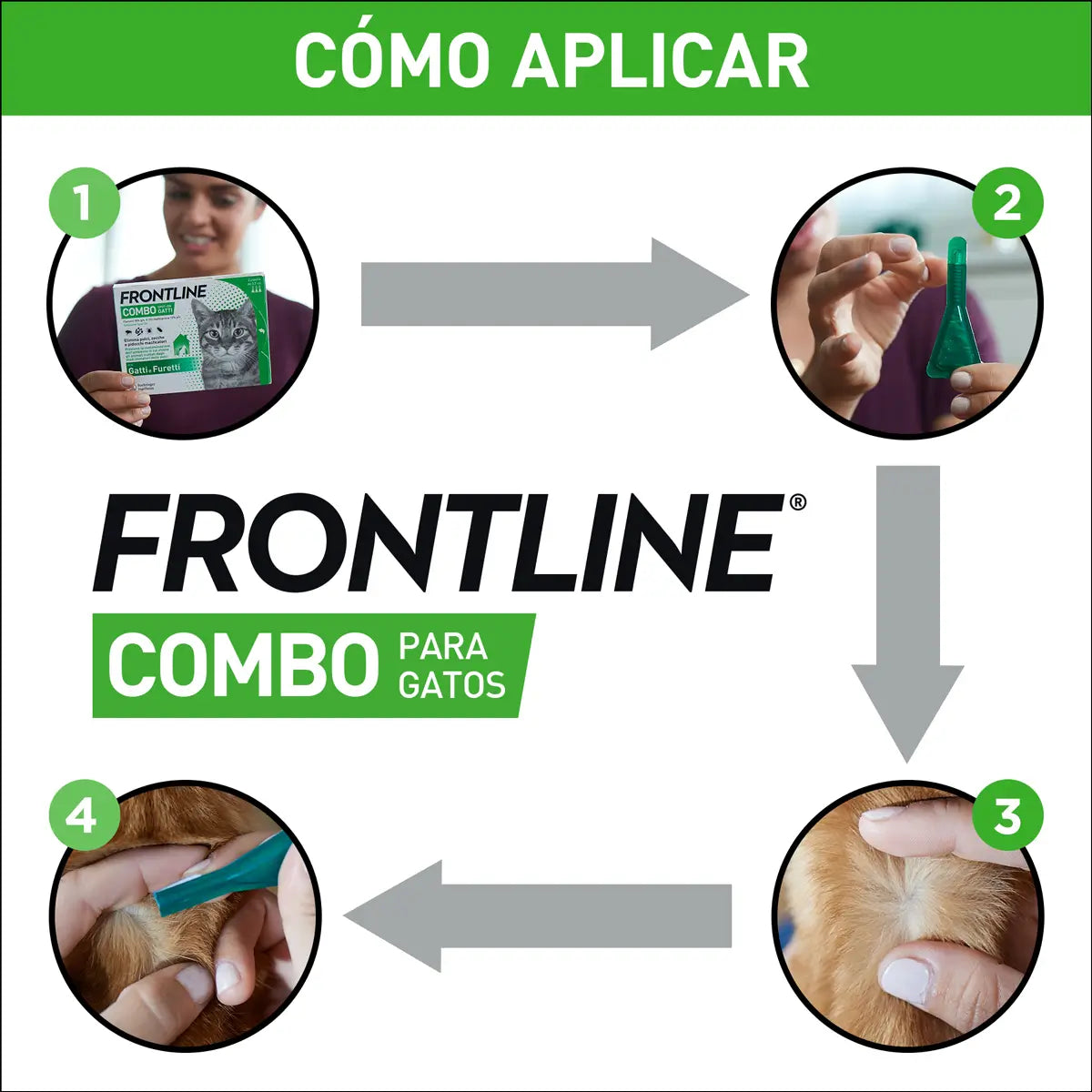 Frontline Combo Chats & Furets Spot On, 6 Pipettes x 0,5 ml