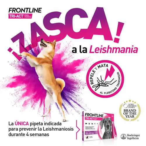 Frontline Tri-Act 10-20Kg, 3 Pipettes