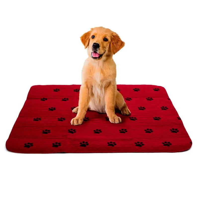 Garcia 1880 Absorbant réutilisable Absorbant pour animaux de compagnie
