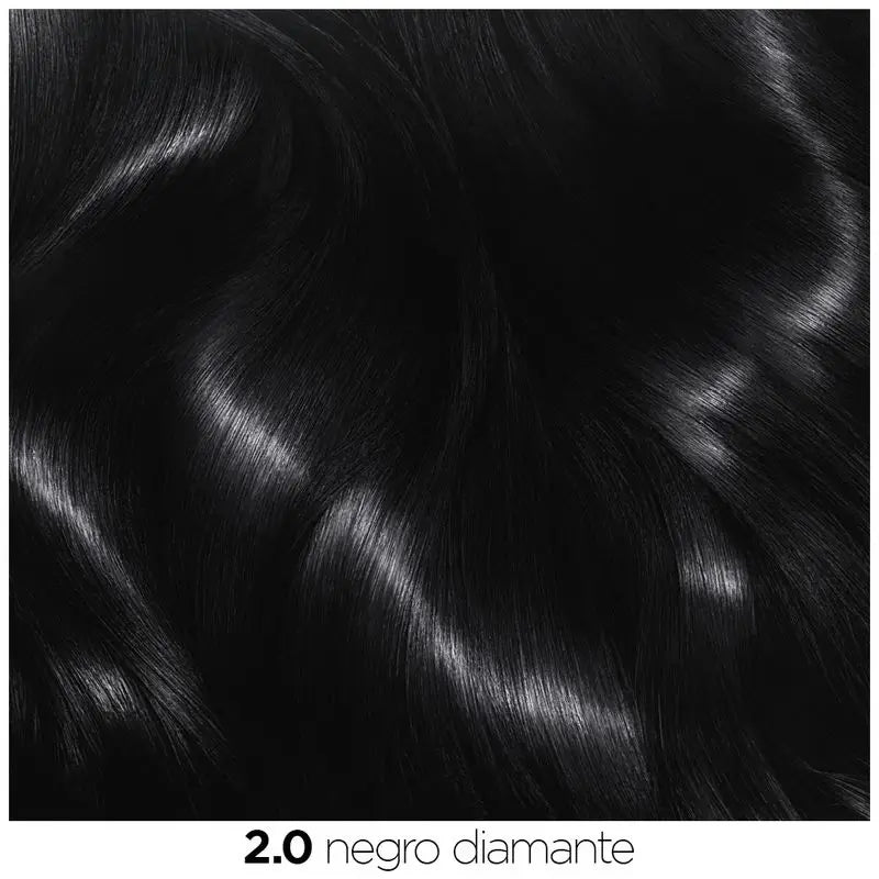 Garnier Olia Coloration Permanente Sans Ammoniaque, Odeur Agréable Avec Huiles Florales Naturelles - Diamond Black 2.0