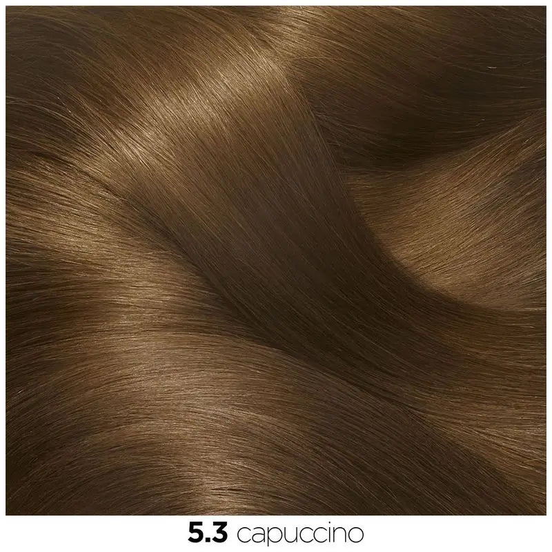 Garnier Olia Coloration Permanente Sans Ammoniaque Pour Une Odeur Agréable Avec Des Huiles Florales Naturelles - Cappuccino 5.3