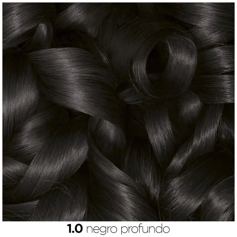 Garnier Olia Coloration Permanente Sans Ammoniaque Pour Une Odeur Agréable Avec Des Huiles Florales Naturelles - Noir Ebène 1.0