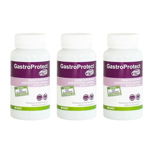 Gastroprotect Stangest, 3X30 Comprimés