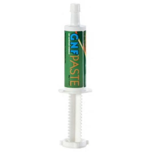 Gnf Paste 80Gr X 1 Syringe