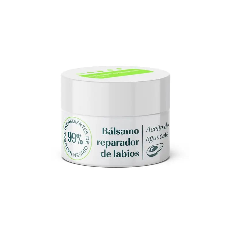 Green Cornerss Baume à lèvres à l'avocat 15 ml