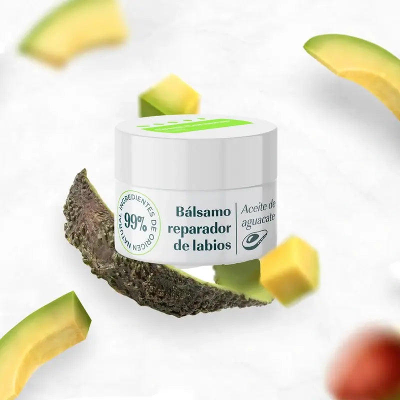 Green Cornerss Baume à lèvres à l'avocat 15 ml